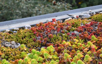 the cost of Chapel Mains green roof installation