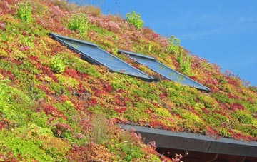 Chapel Mains living roof systems