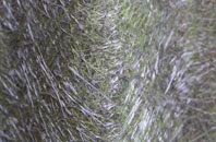 Chapel Mains fibreglass roof work